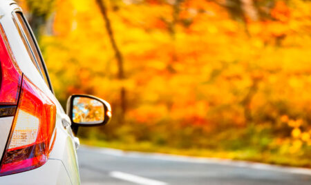 How to Drive Safely in Texas Fall Weather